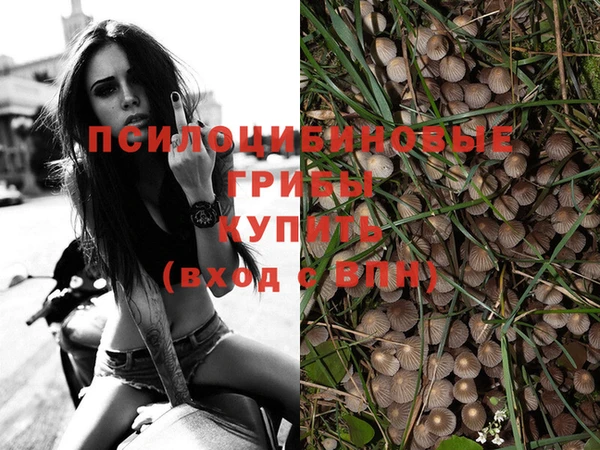 соль ск Белокуриха