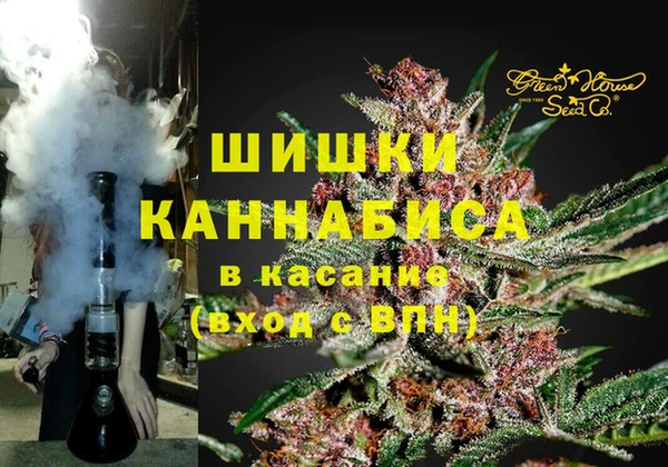 сатива Богородицк