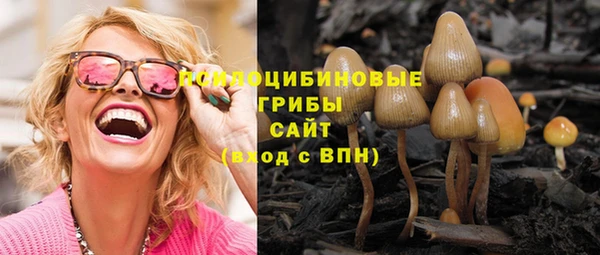 прущие грибы Богданович