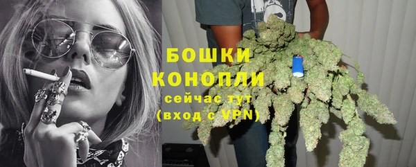ПСИЛОЦИБИНОВЫЕ ГРИБЫ Белоозёрский