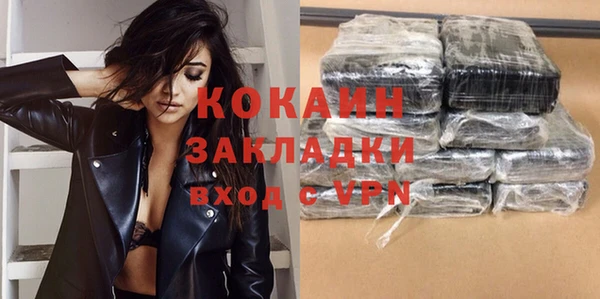 прущие грибы Богданович