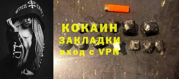 прущие грибы Богданович