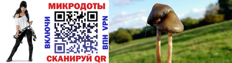 Псилоцибиновые грибы мицелий Нарткала