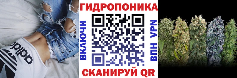 Шишки марихуана сатива  Нарткала 